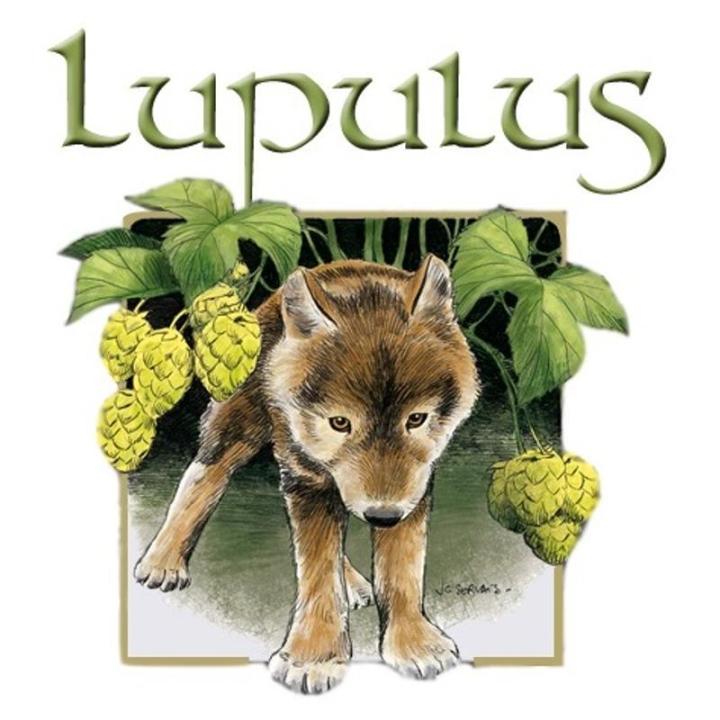 Logo Lupulus